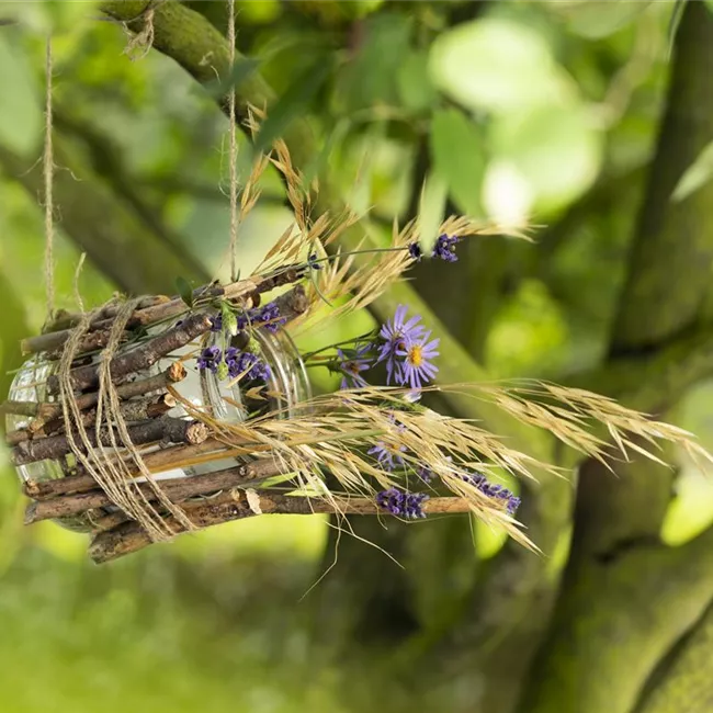 Ein Vogelhaus aus einem Weckglas - gläserner Futter-Stopp für Vögel