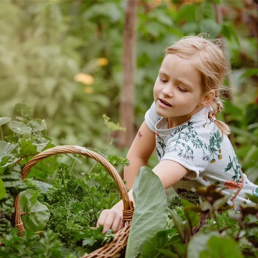 Jetzt kann geerntet werden! Kinder spielerisch einbeziehen