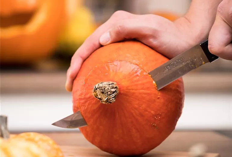 Hokkaido aufschneiden