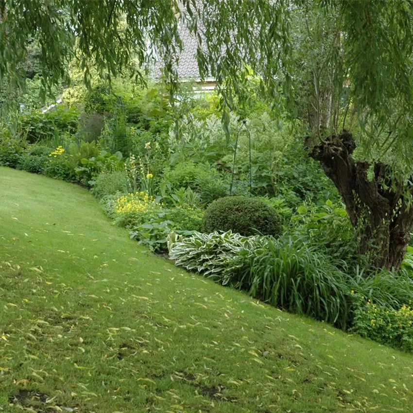 Schief ist modern - Der Garten muss nicht immer perfekt sein