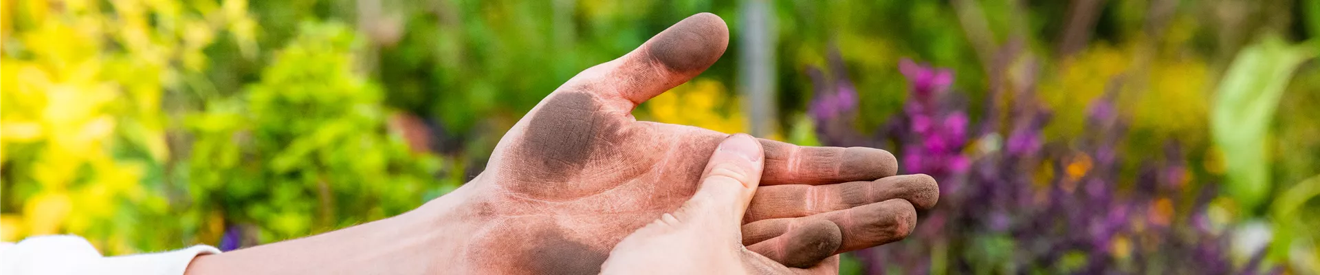 Gartenarbeit - Hände