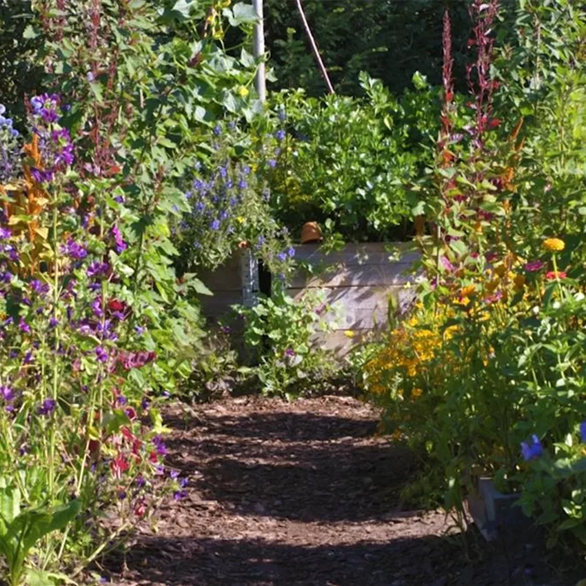 Gartengestaltung - Bauerngarten