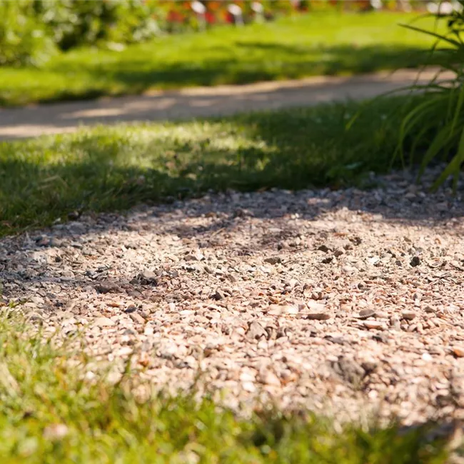 Pflastersteine und Wege – Richtige Pflege bringt lange Freude