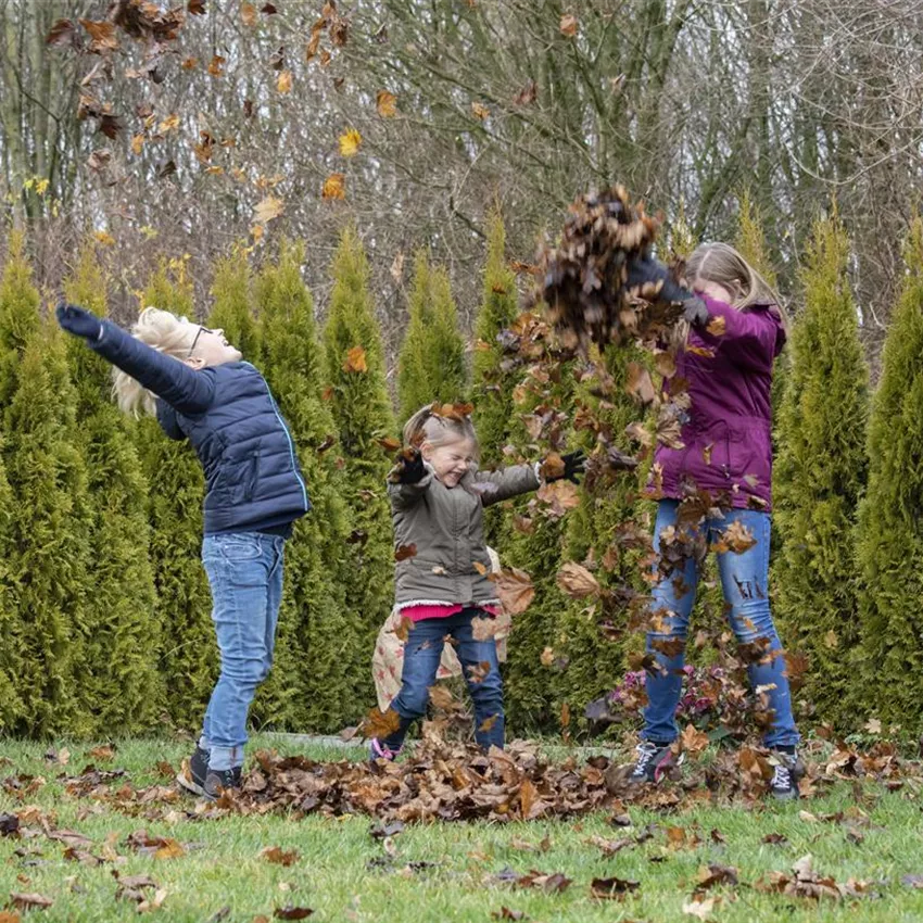 Spiel, Spaß und Sport: Der Garten als grünes Fitness-Studio